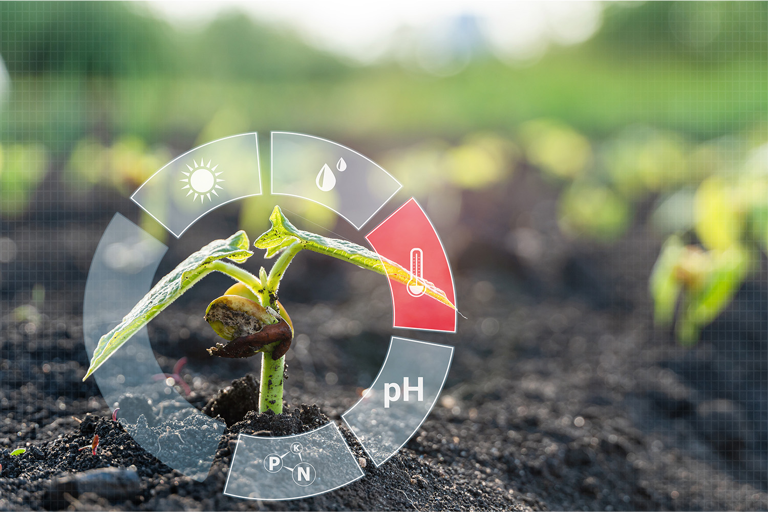 Workshop: Partizipative Klimaforschung: Messung Bodenfeuchte und Temperatur