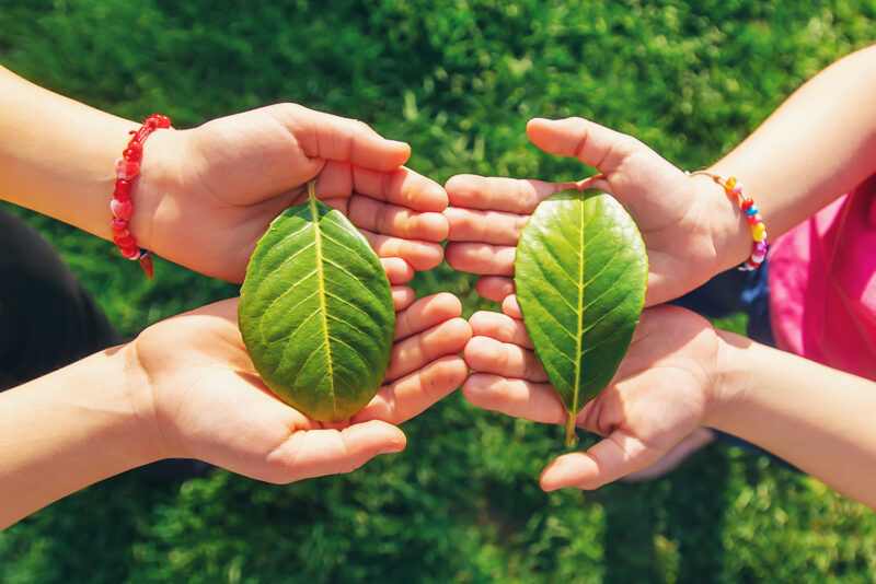 Green Leaders: Nachhaltiges Wirtschaften für die nächste Generation